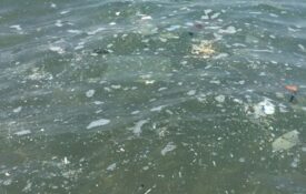 Kahramanmaraş dikkat! Mersin’de deniz kirliliği üst düzeyde