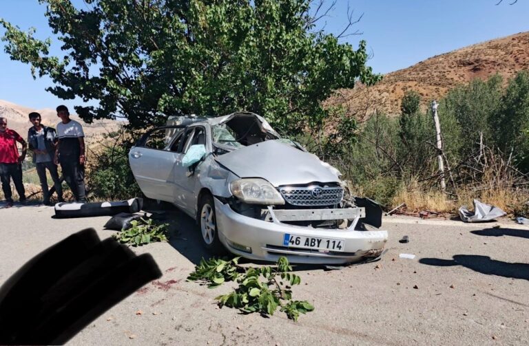 Nurhak’ta ehliyetsiz sürücü ağaça çarptı: 1 ağır 3 yaralı