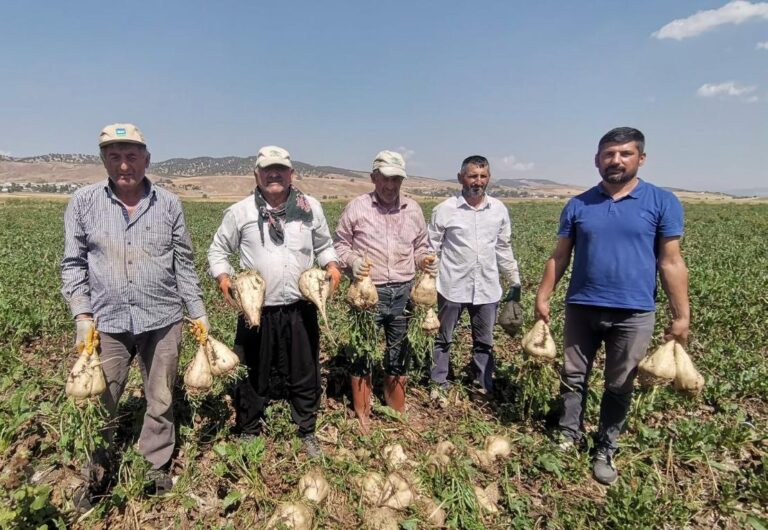 Depremzede çiftçiler pancar üretiminde devrim yaptı