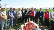 Görgel; “Coğrafi İşaretli Maraş Biberimizin Hasadı Bereketli Olsun”