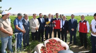 Görgel; “Coğrafi İşaretli Maraş Biberimizin Hasadı Bereketli Olsun”