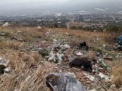 Kahramanmaraş’ta Çevre Katliamı: Zeytinlik Alan Alkol Şişeleriyle Dolu