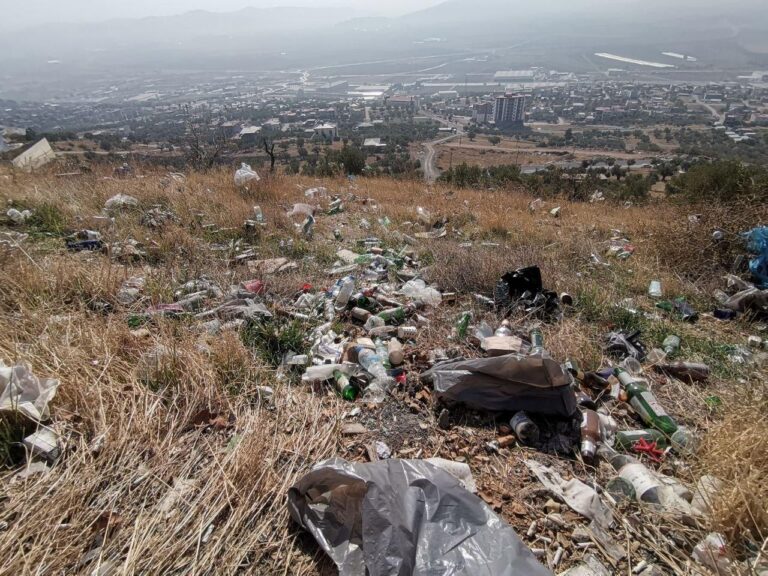 Kahramanmaraş’ta Çevre Katliamı: Zeytinlik Alan Alkol Şişeleriyle Dolu
