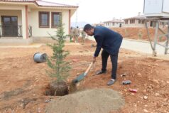 TSYD’den “Yeşil Vatan” İçin Anlamlı Adım