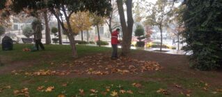 Kahramanmaraş’ta Sonbahar Güzelliği: Yapraklar Döküldü, Şehir Kışa Hazırlanıyor