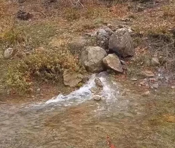 Andırın Darıderesi’nde Doğa Coştu: Yer Altı Kaynakları Yüzeye Fışkırdı
