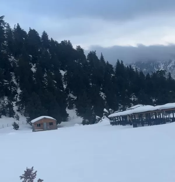 Halbur Yaylası’nda Turizm Çıkmazı: Hazır Proje 3 Yıldır Atıl Bekliyor