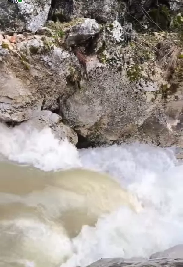 Andırın’da Gizemli Olay: Dağın Altından Fışkırıyor