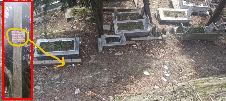 Andırın Merkez Mezarlığı’nda İçler Acısı Manzara: Çınar Ağacındaki Yazı Dikkat Çekti