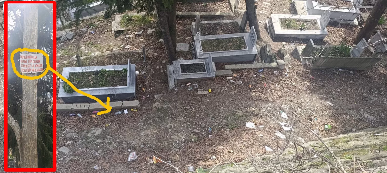 Andırın Merkez Mezarlığı’nda İçler Acısı Manzara: Çınar Ağacındaki Yazı Dikkat Çekti