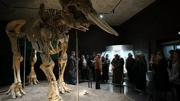 Kahramanmaraş’ın Ulu Çınarları Tarihin İzinde