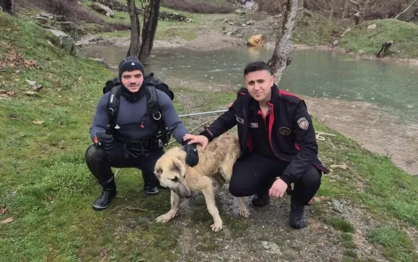 Onikişubat’ta Suda Mahsur Kalan Köpeği İtfaiye Kurtardı