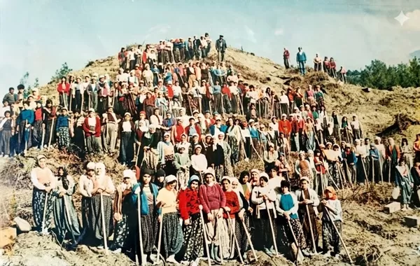 Yemenili Kahramanların Elleriyle Yeşeren Dev Miras