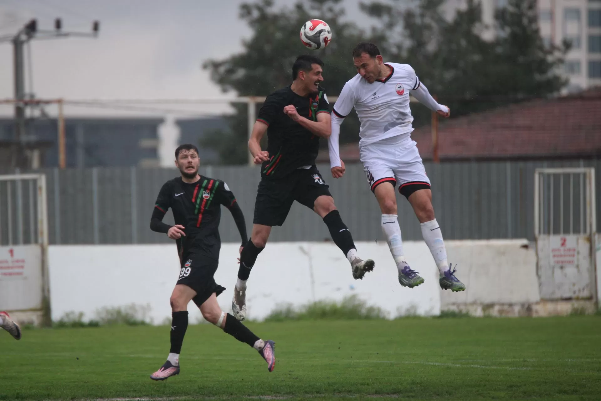 57 YILLIK ÇINAR DEVRİLDİ!