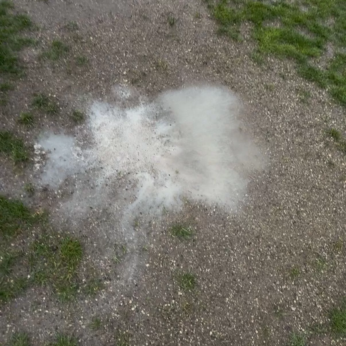 Kaderimizi Balçık Tarlasında yazacağız!