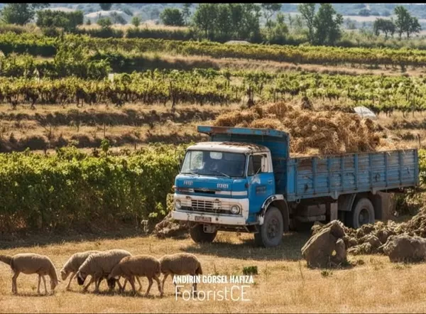 Andırın’ın Görsel Hafızası: Yeşilova’nın Sarı Sıcağında Bir Zamanlar Hasat