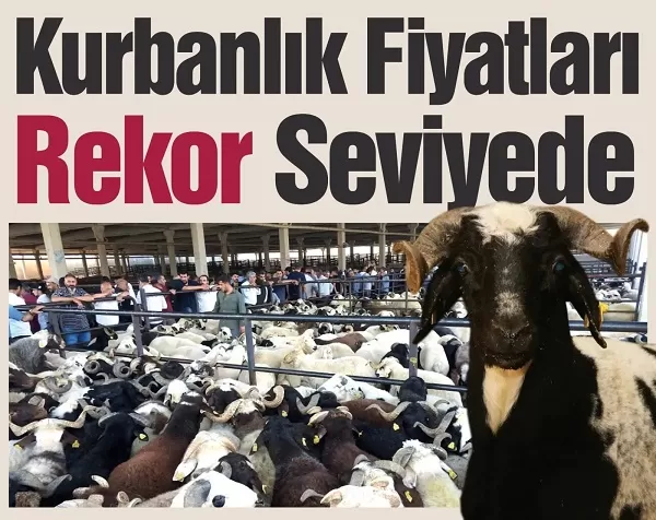 Kahramanmaraş’ta Kurban Fiyatları El Yakıyor: En Düşüğü Bile Bu Kadar Oldu!