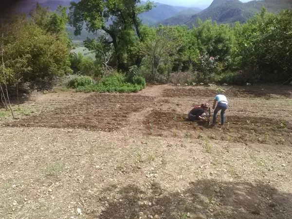 Andırın Yaylalarında Vejetasyon Dönemi Başladı: Alınoluk’ta Agronomik Mesai