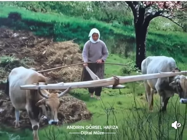 Andırın Görsel Hafıza Projesi’nden Zaman Yolculuğu: Geçmişin Sessiz Tanıkları “Kağnılar” Arşivde!