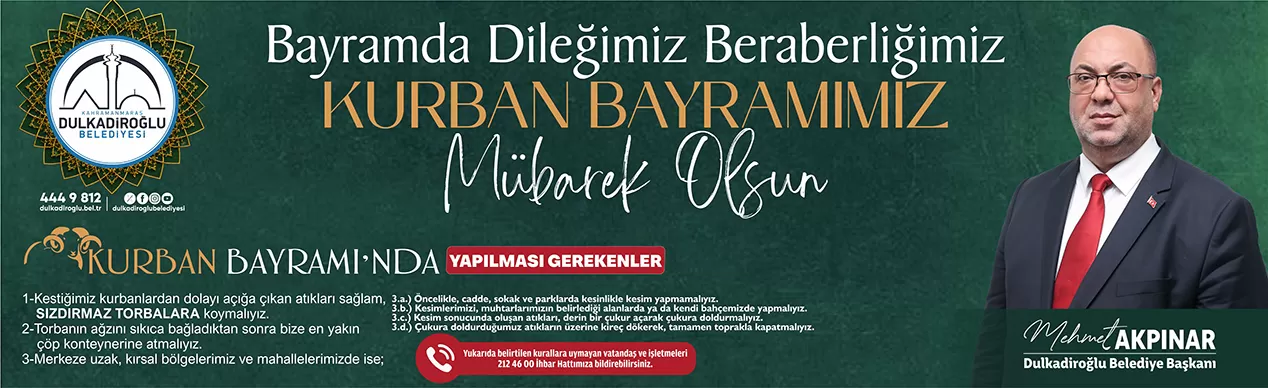 Reklam 306