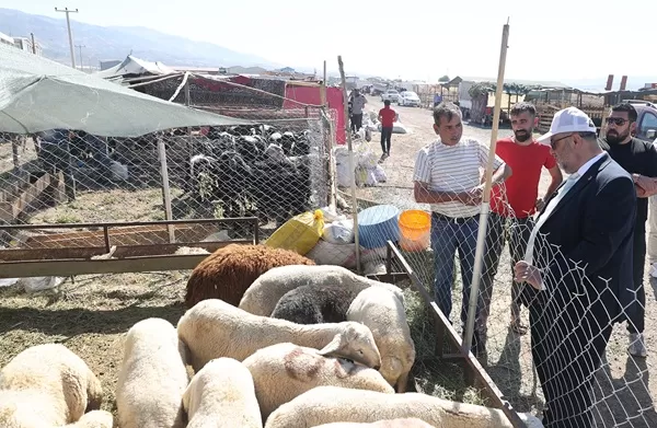 Dulkadiroğlu’nda Kurban Bayramı Stratejisi: İdari ve Çevre Önlemleri Üst Seviyede