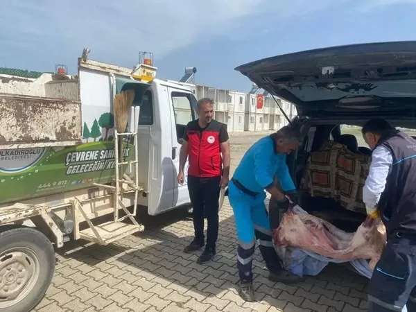 Kahramanmaraş’ta Sıkı Gıda Denetimi: Mevzuata Aykırı Taşınan Karkas Etler Ele Geçirilerek İmha Edildi!