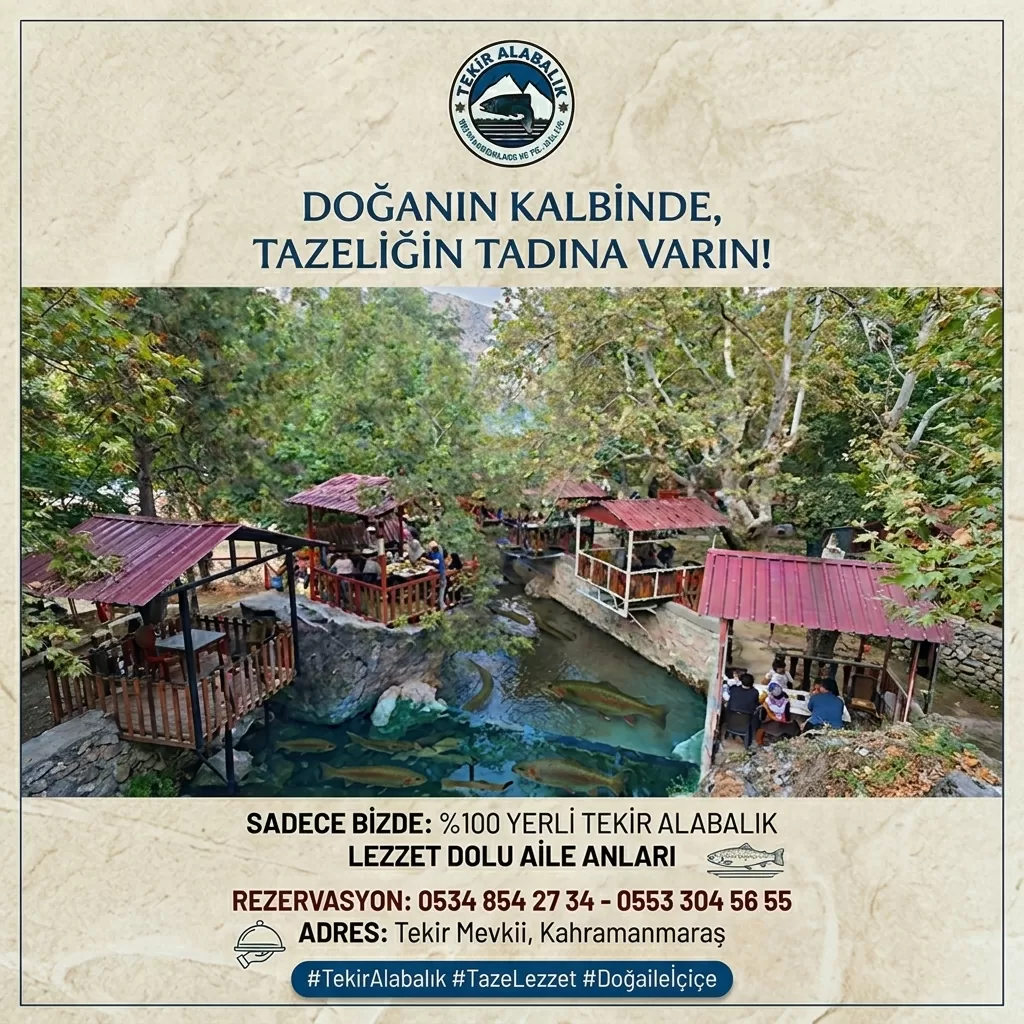 Reklam 709
