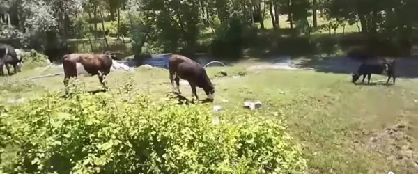 Üç Köyün İçme Suyu Deposu Korumasız Kaldı!