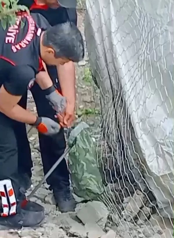 Andırın’da Kümes Kapısında Dehşet Anları!