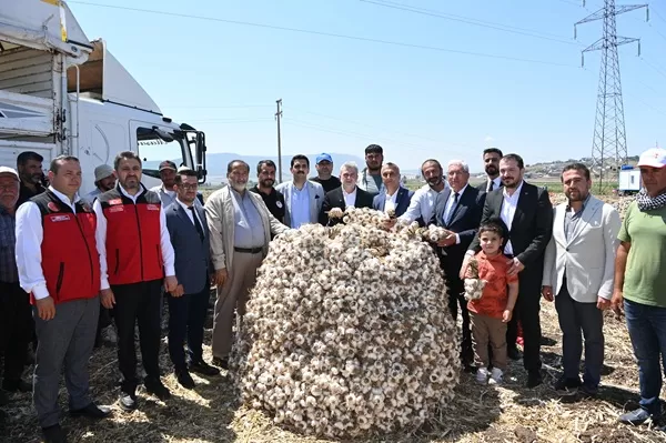 Başkan Görgel Sahaya İndi, Müjdeyi Tarladan Verdi: Yılda 17 Bin Ton Üretiyoruz, Pazarcık Sarımsağı Dünya Markası Oluyor!