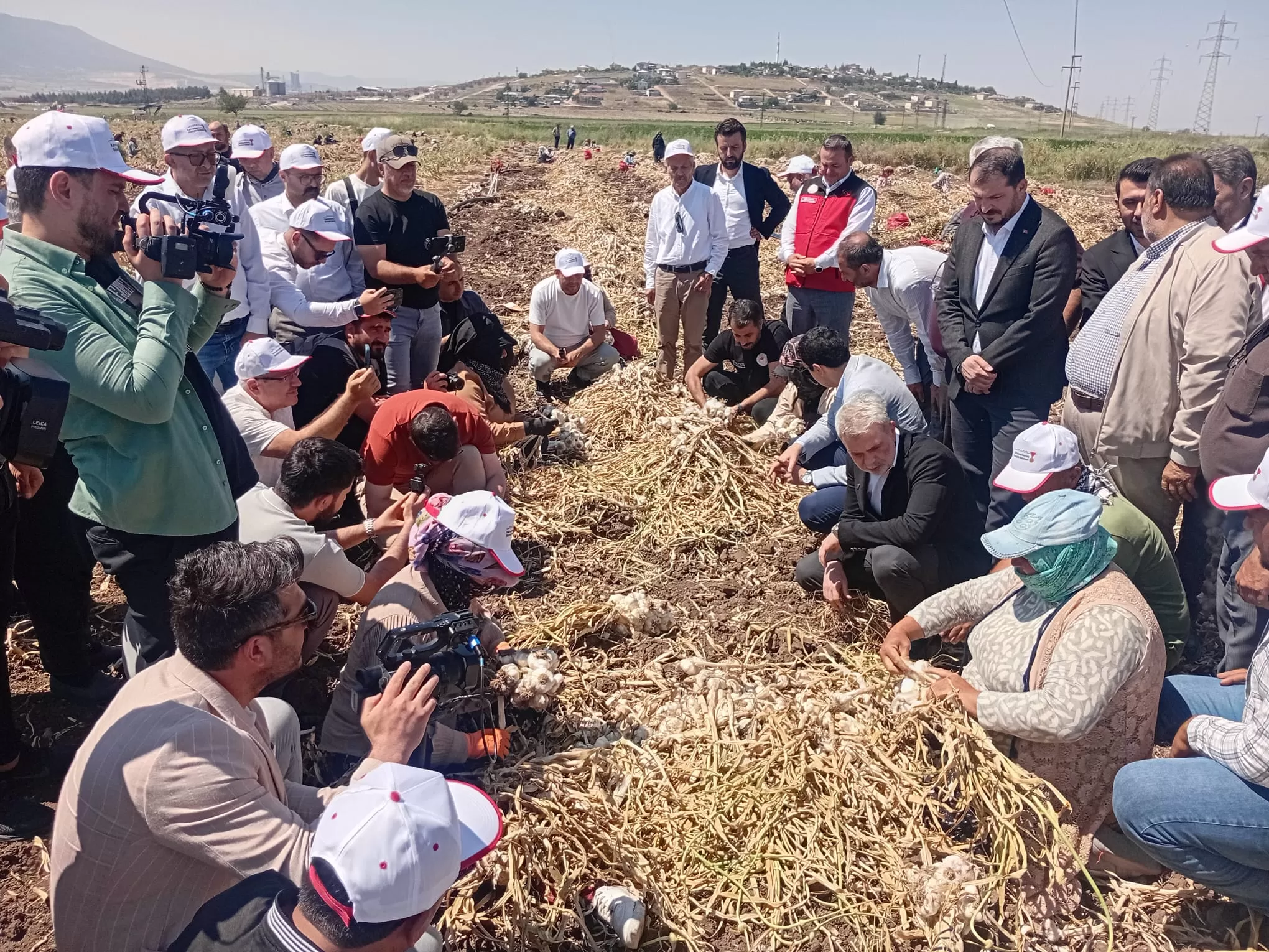 Beyaz Altın Mesaisi Pazarcık’ta Başladı