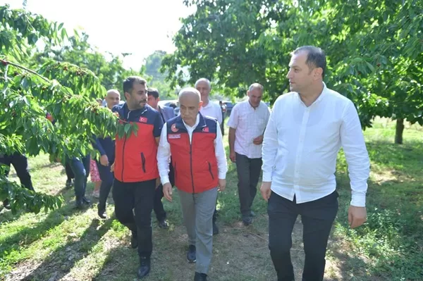 Prof. Dr. Vahit Kirişci ve Protokol Üyelerinden Andırın’a Kiraz Hasadı Ziyareti