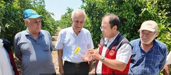 Andırın’da Narenciye Bahçelerine “Faydalı Böcek” Takviyesi: Kimyasal İlaçsız Doğal Mücadele