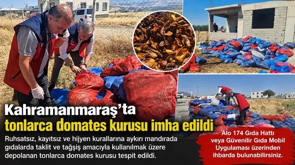 Kahramanmaraş’ta Ruhsatsız Mandırada Tonlarca Domates Kurusu İmha Edildi