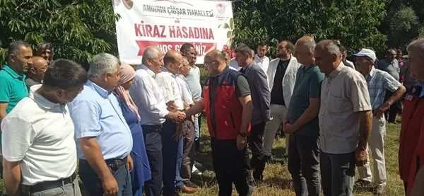 Milletvekili Şahin ve Protokol Üyelerinden Çığşar’da Kiraz Hasadı Çıkarması