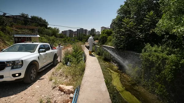 Büyükşehir’den Haşere Mücadelesi
