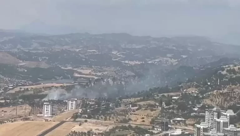 Kahramanmaraş’ta Orman Yangını