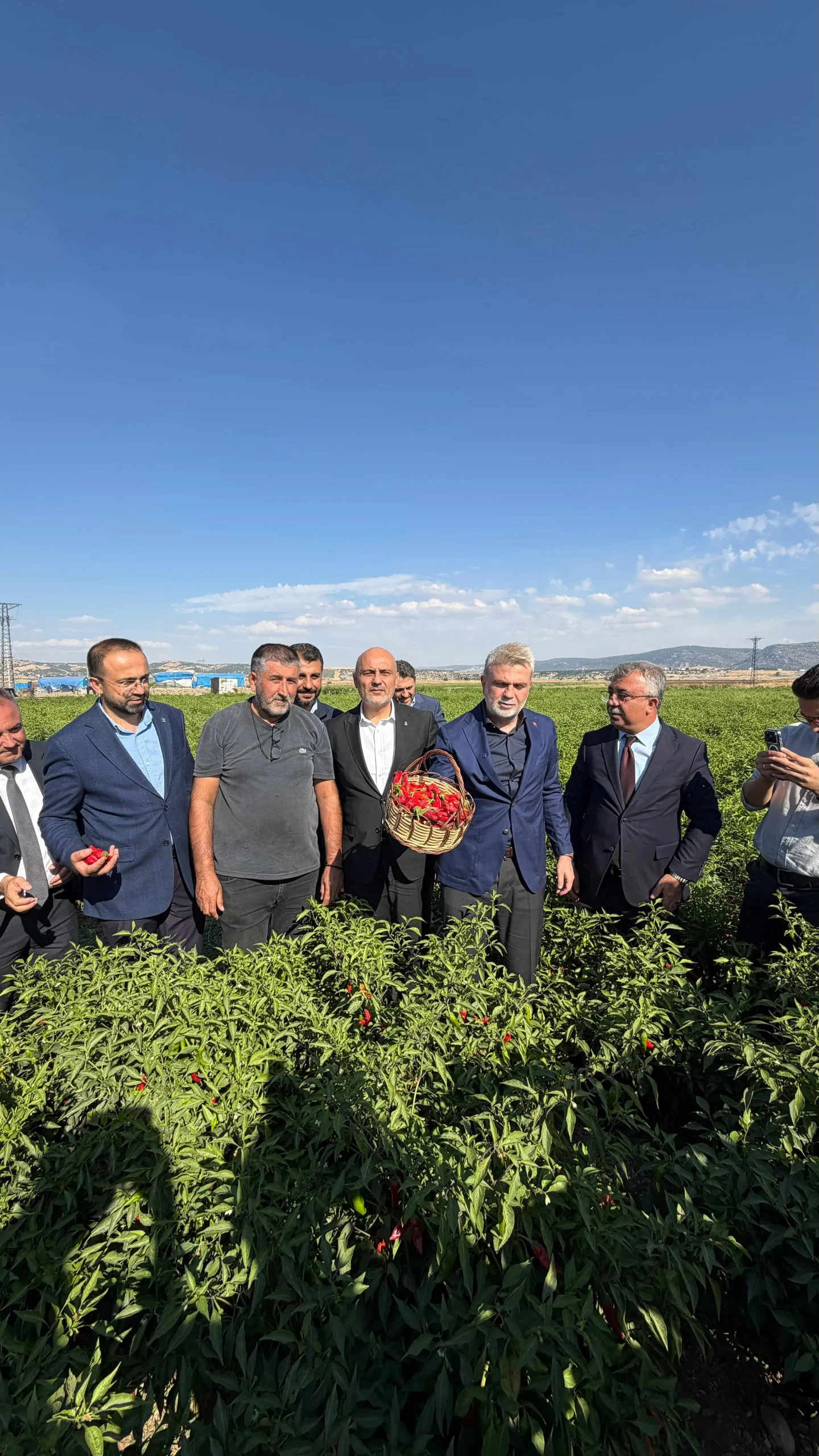 Başkan Fırat Görgel, Maraş Biberi Hasadına Katıldı