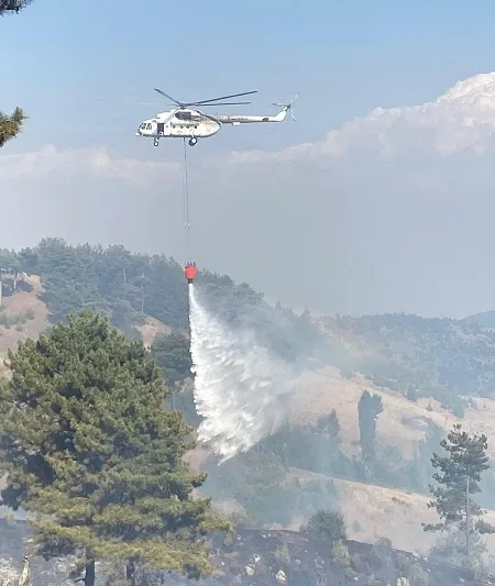 Kahramanmaraş’ta Orman Yangını Alarmı: Alevlere Havadan ve Karadan Yoğun Müdahale!