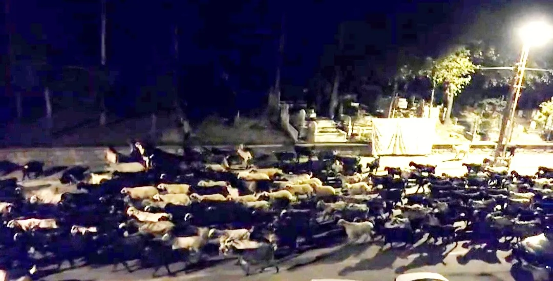 Andırın’da Büyüleyici Manzara: Ay’ın Sarımsak Dağı’ndan Doğuşu Kameralara Yansıdı