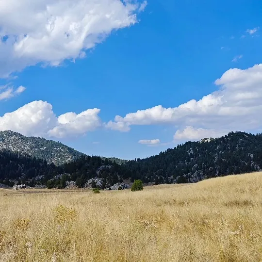 Doğa Sever İlyas Mirik’ten Andırın Yaylalarında Görsel Şölen